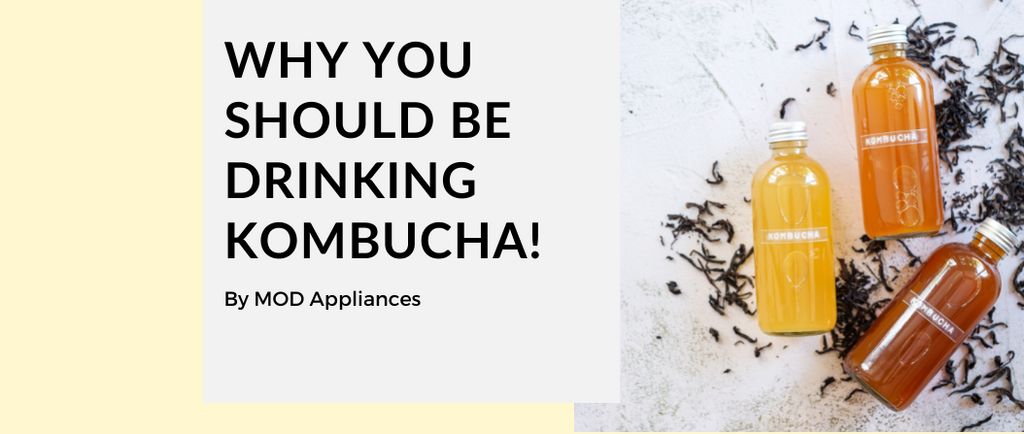 Why You Should Be Drinking Kombucha!